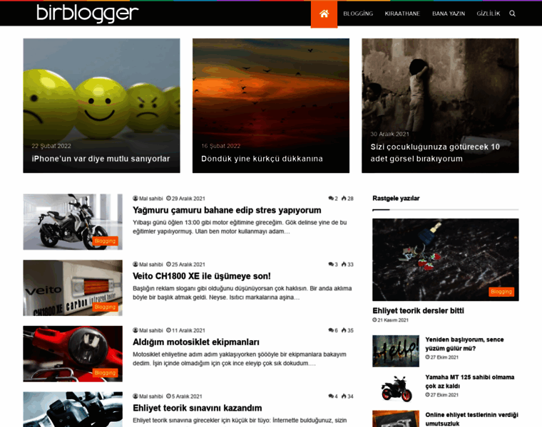Birblogger.com thumbnail