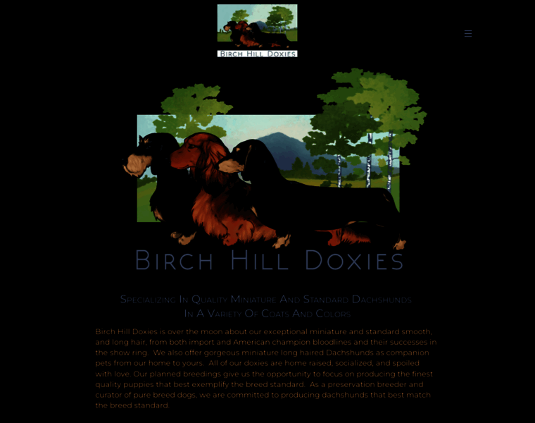 Birchhilldoxies.com thumbnail