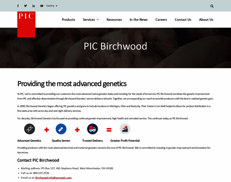 Birchwoodgenetics.com thumbnail
