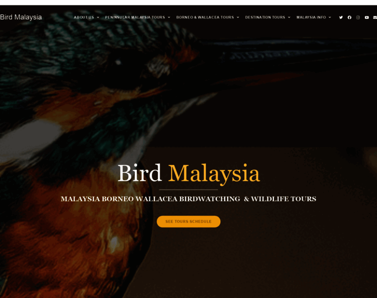 Bird-malaysia.com thumbnail
