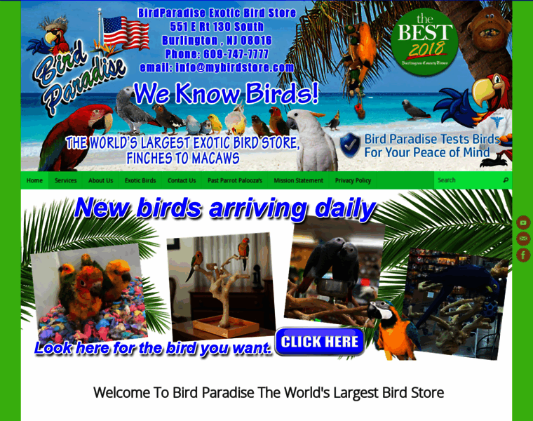 Bird-paradise.biz thumbnail