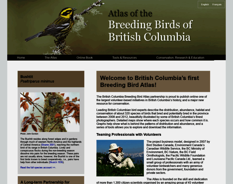 Birdatlas.bc.ca thumbnail