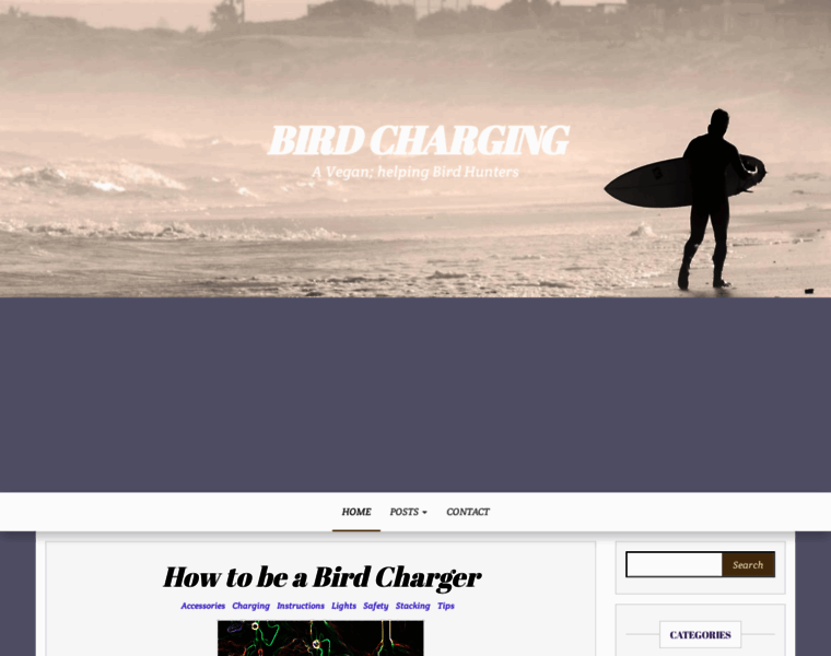 Birdcharging.com thumbnail