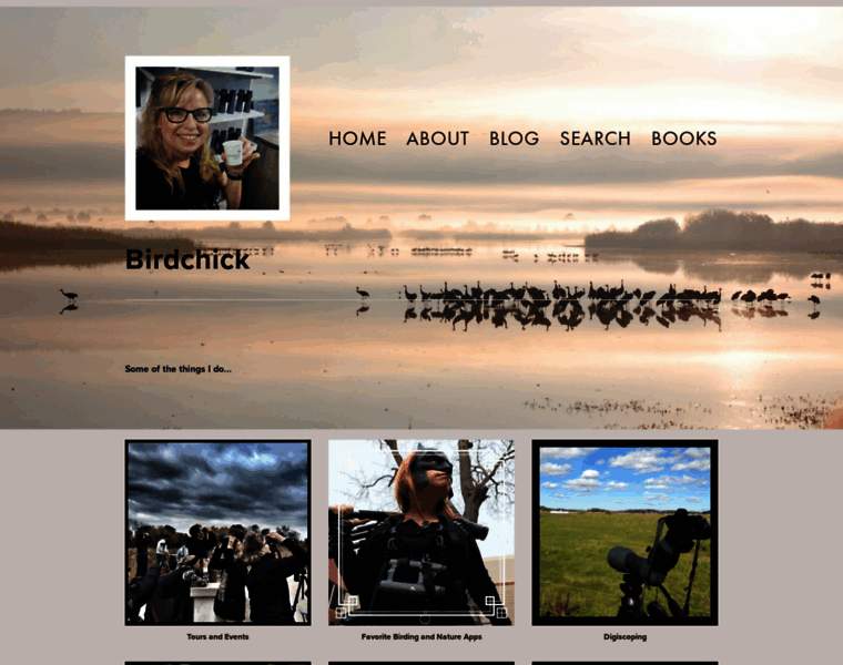 Birdchick.com thumbnail