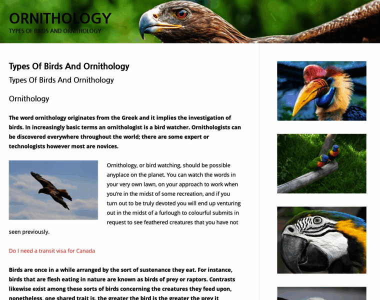 Birding.uk.com thumbnail