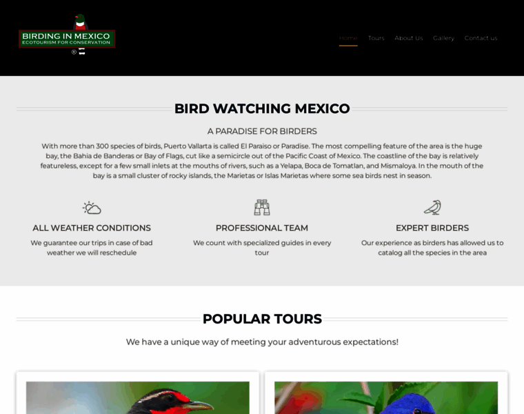 Birdinginmexico.com thumbnail