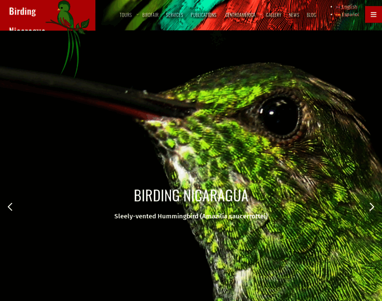 Birdingnicaragua.com thumbnail