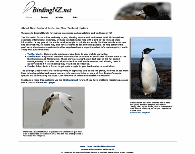 Birdingnz.net thumbnail