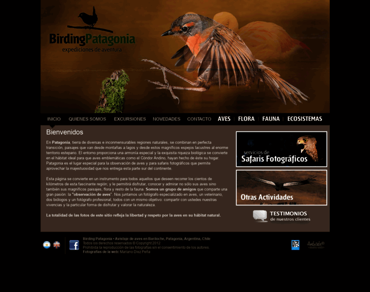 Birdingpatagonia.com thumbnail