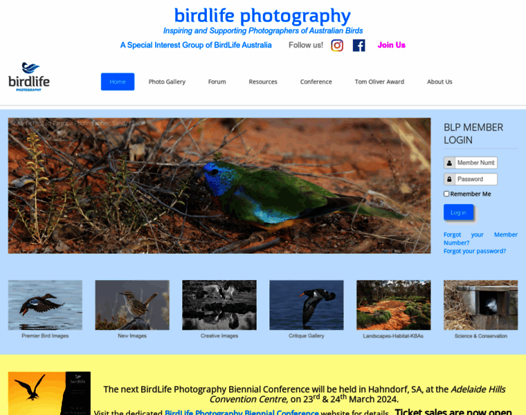 Birdlifephotography.org.au thumbnail