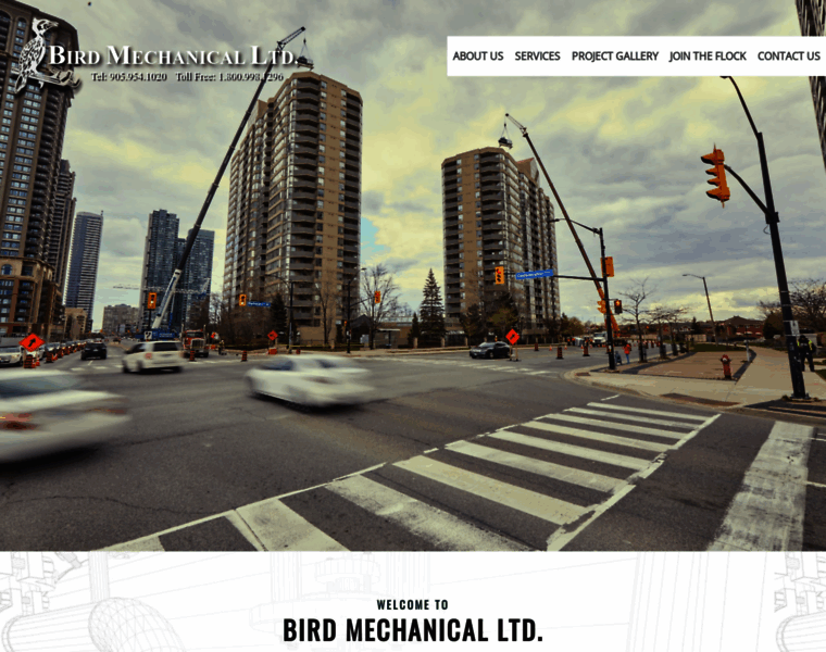 Birdmechanical.com thumbnail