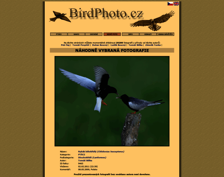 Birdphoto.cz thumbnail