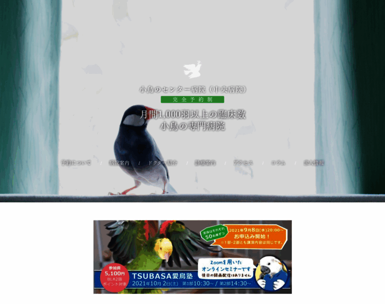 Birdpro.jp thumbnail