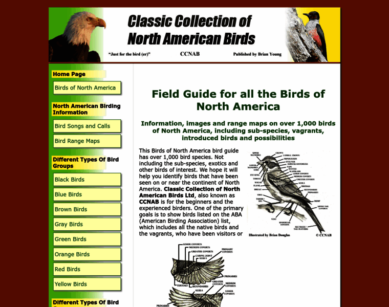 Birds-of-north-america.net thumbnail