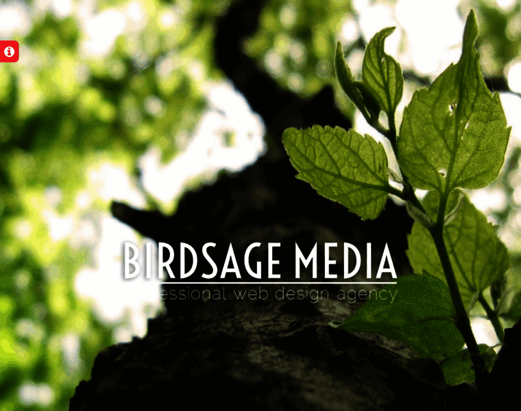 Birdsage.com thumbnail