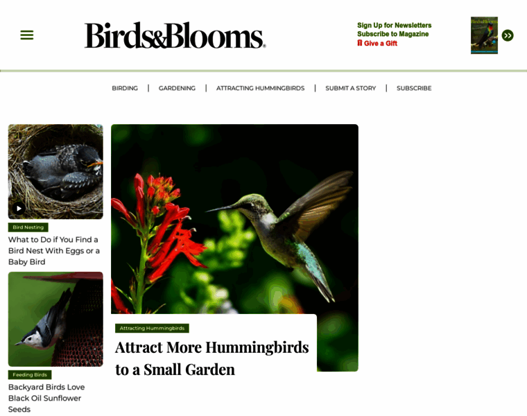 Birdsandblooms.com thumbnail