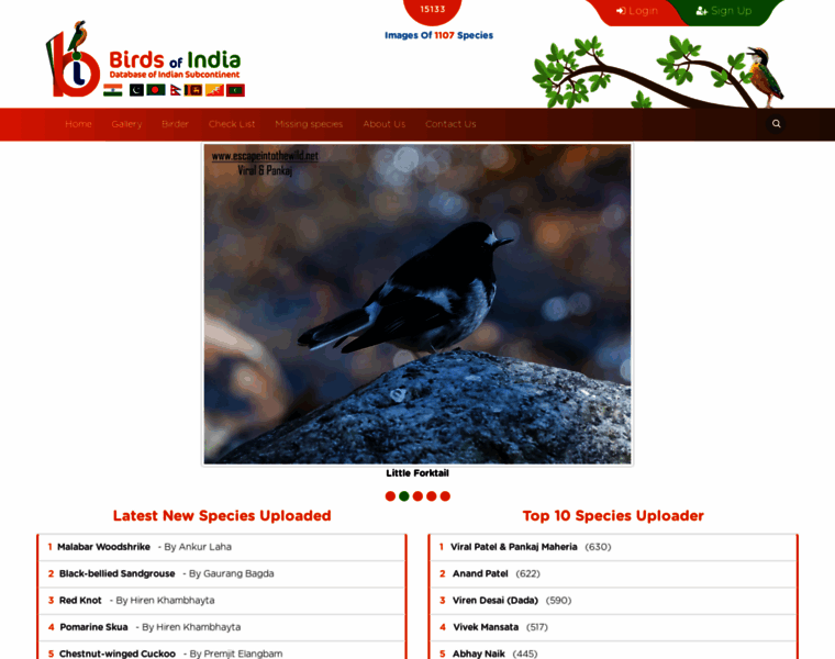 Birdsofindia.co.in thumbnail