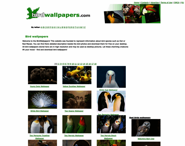 Birdwallpapers.com thumbnail