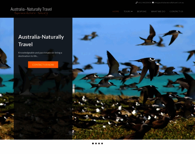 Birdwatch-australia.com.au thumbnail