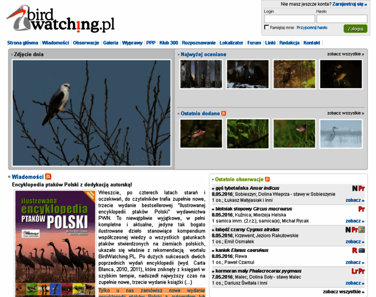 Birdwatching.pl thumbnail