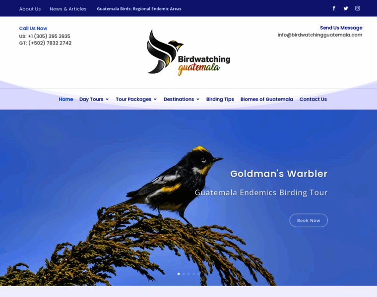 Birdwatchingguatemala.com thumbnail