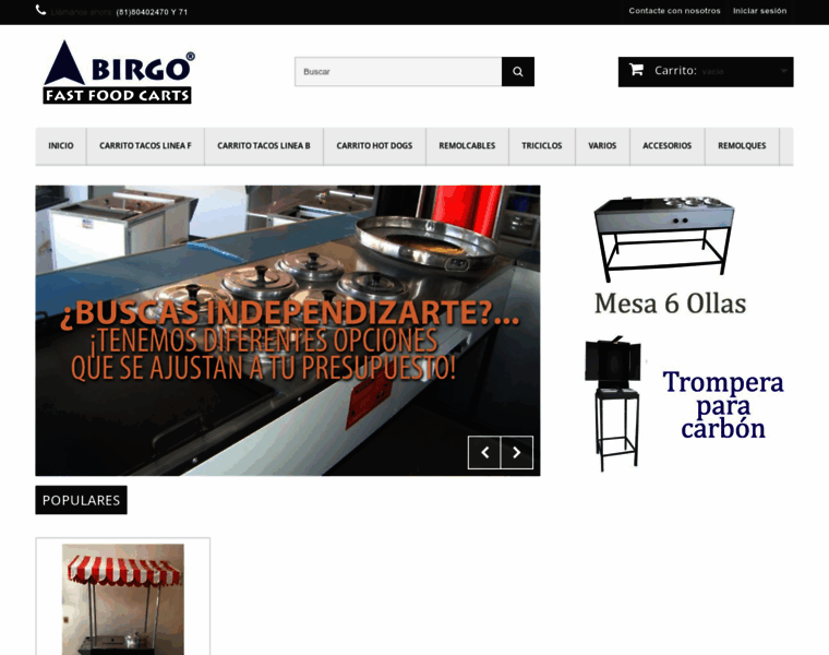 Birgo.com.mx thumbnail