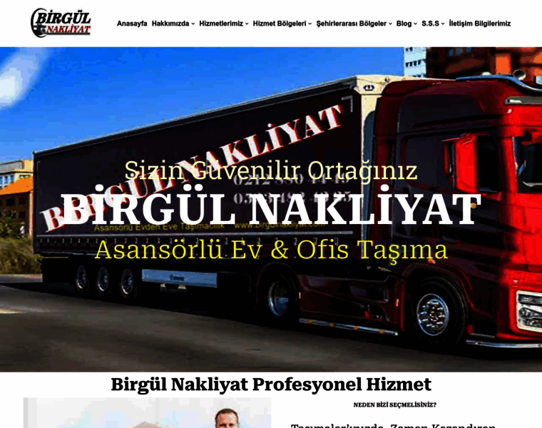 Birgulnakliyat.com thumbnail