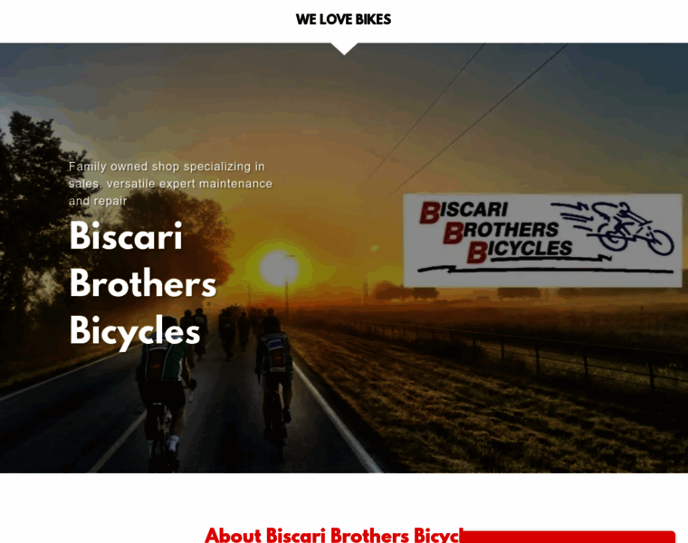 Biscaribrothersbicycles.com thumbnail