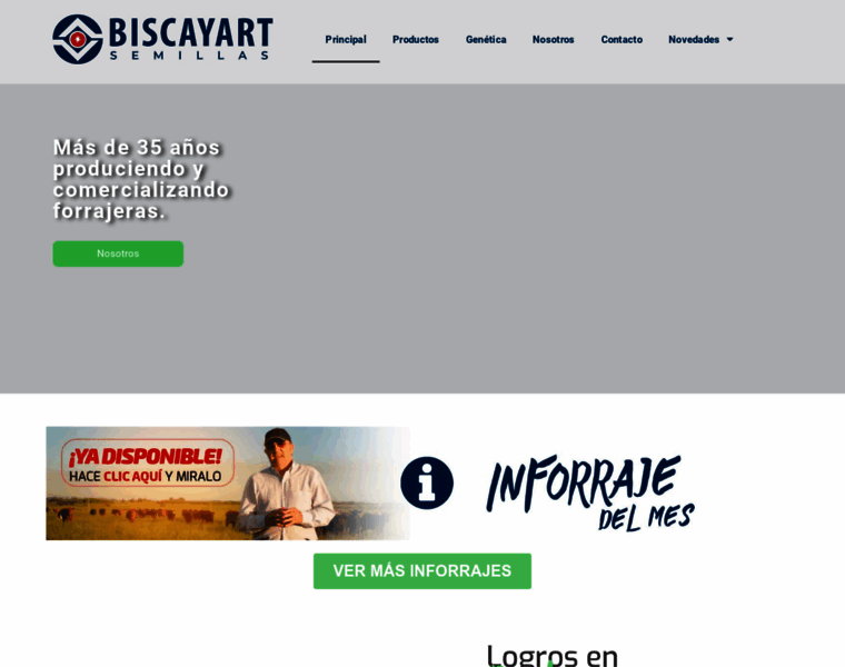 Biscayart.com thumbnail