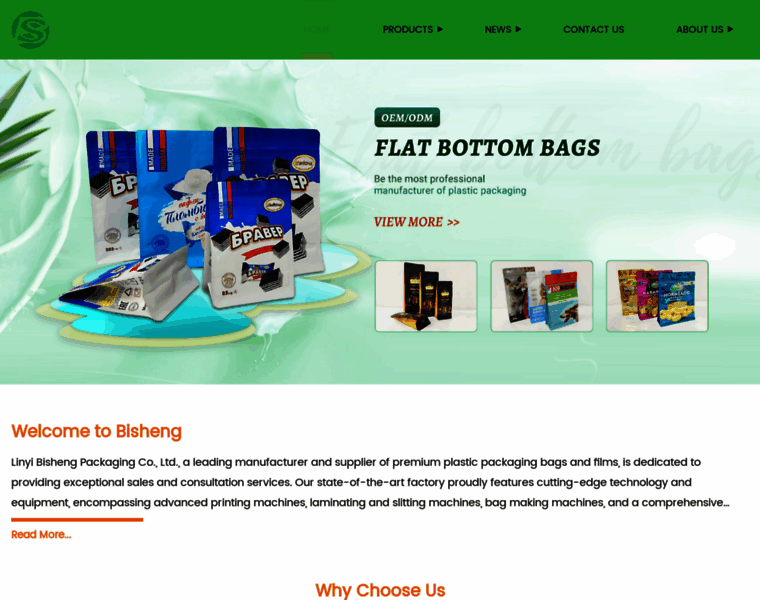 Bisheng-packaging.com thumbnail