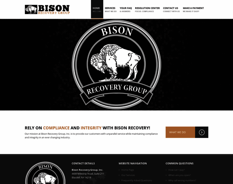 Bisonrecovery.com thumbnail
