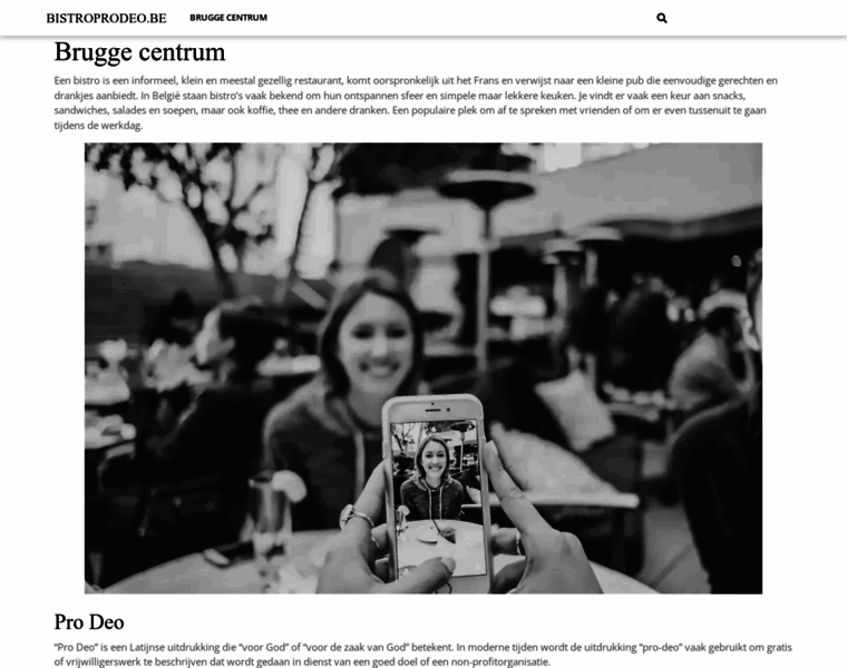 Bistroprodeo.be thumbnail
