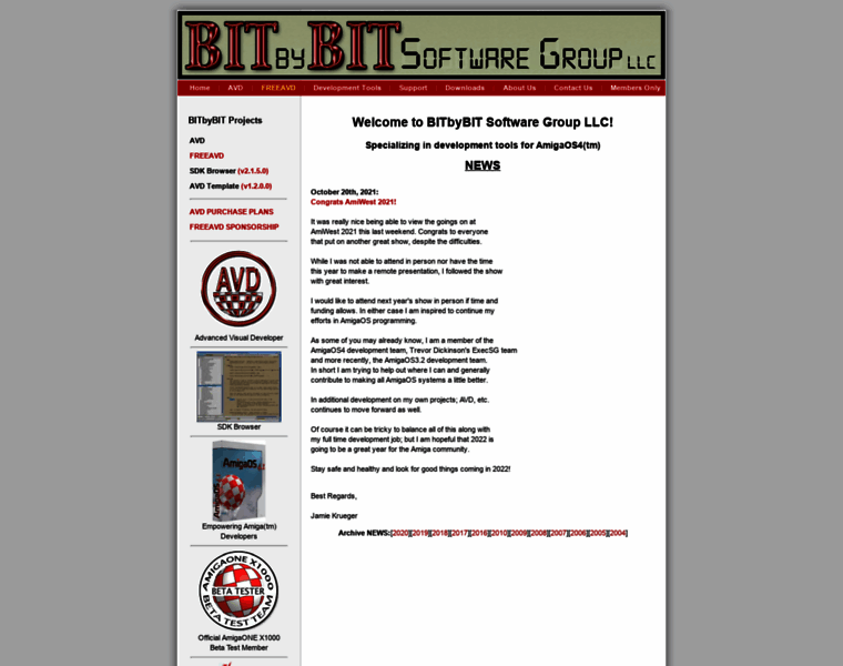Bitbybitsoftwaregroup.com thumbnail
