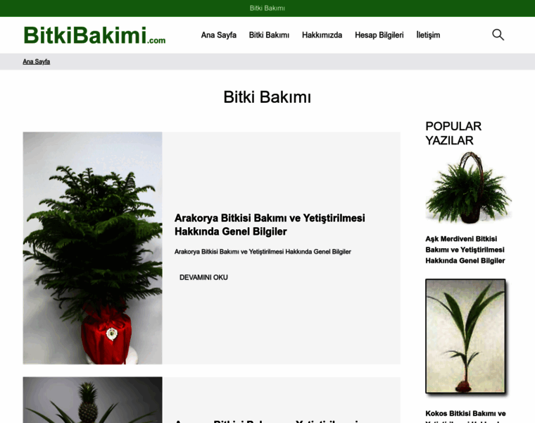 Bitkibakimi.com thumbnail