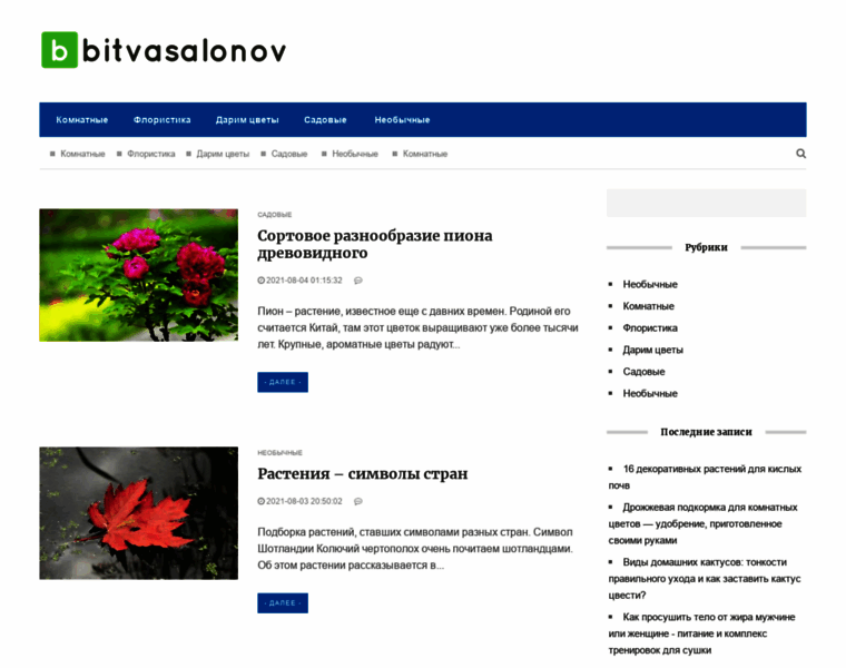 Bitvasalonov.ru thumbnail