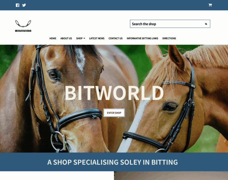Bitworld.co.uk thumbnail