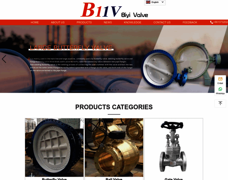 Biyi-valves.com thumbnail