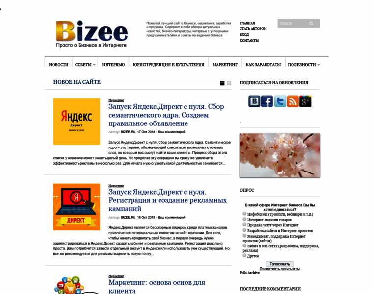 Bizee.ru thumbnail