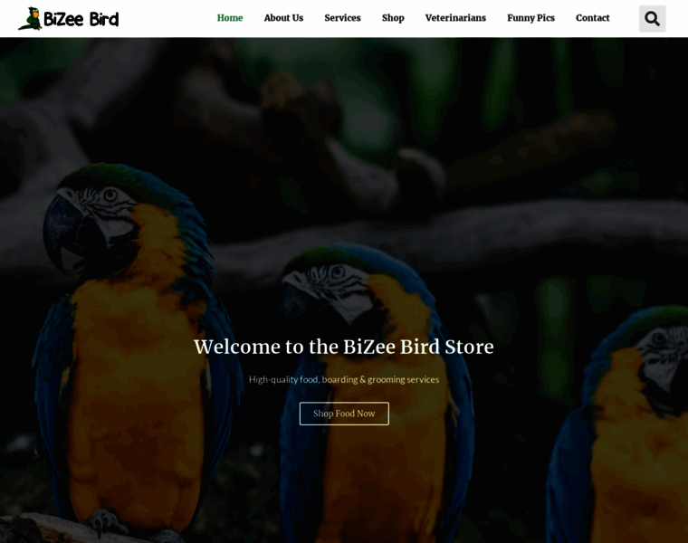 Bizeebird.com thumbnail