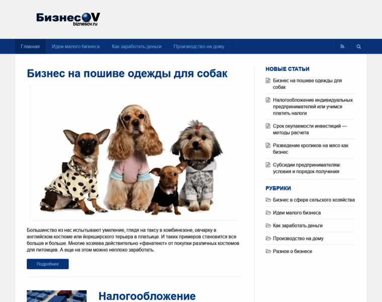 Biznesov.ru thumbnail