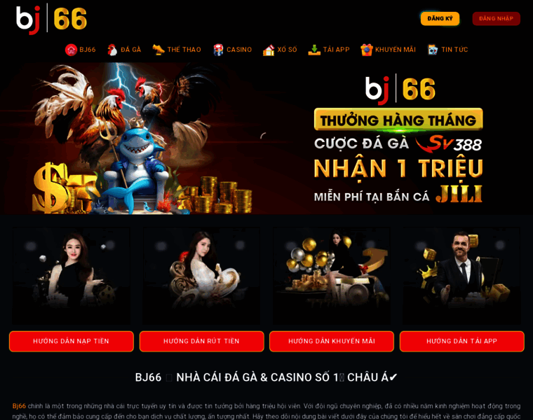 Bj66.im thumbnail