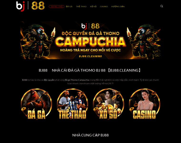 Bj88.cleaning thumbnail