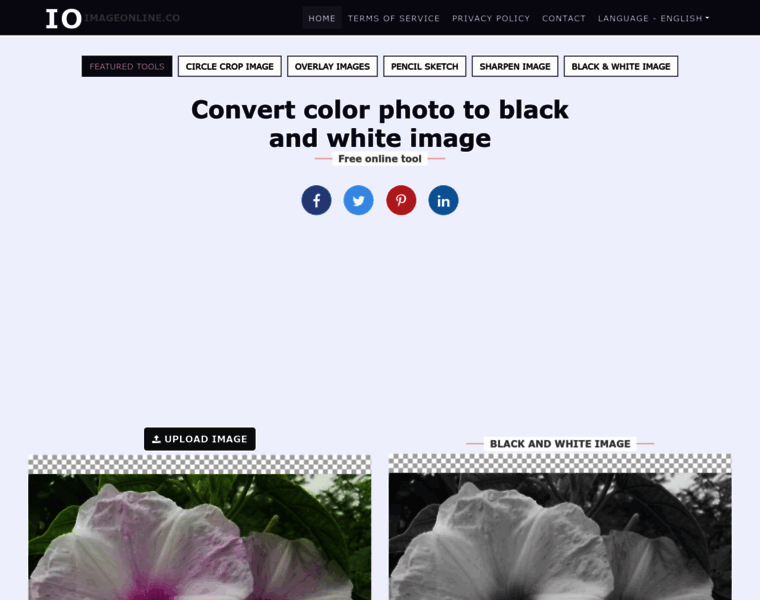 Blackandwhite.imageonline.co thumbnail