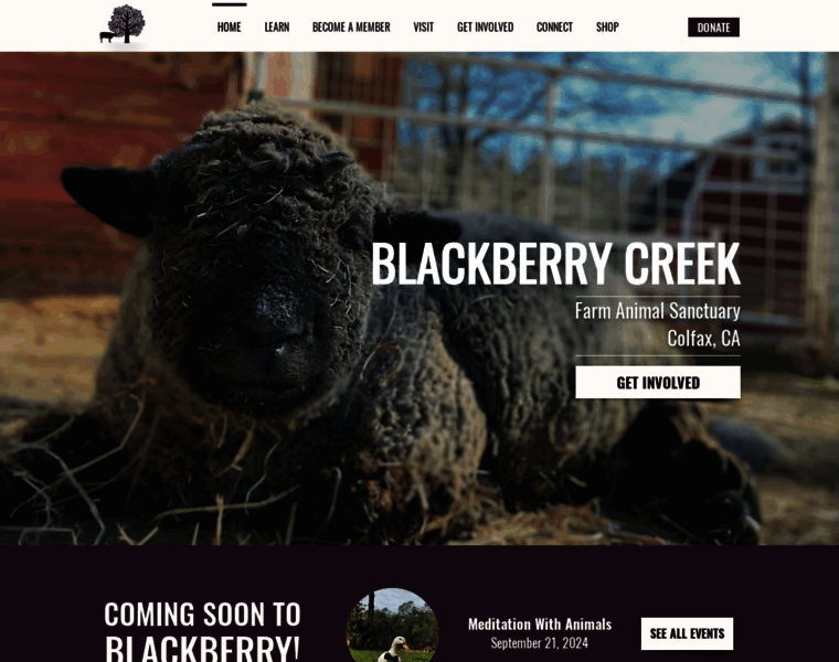Blackberrycreek.org thumbnail