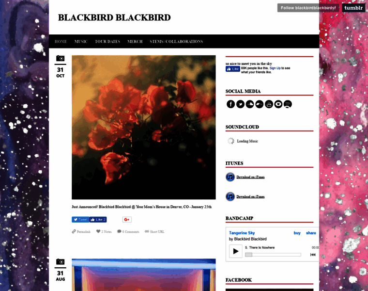Blackbirdblackbird.net thumbnail
