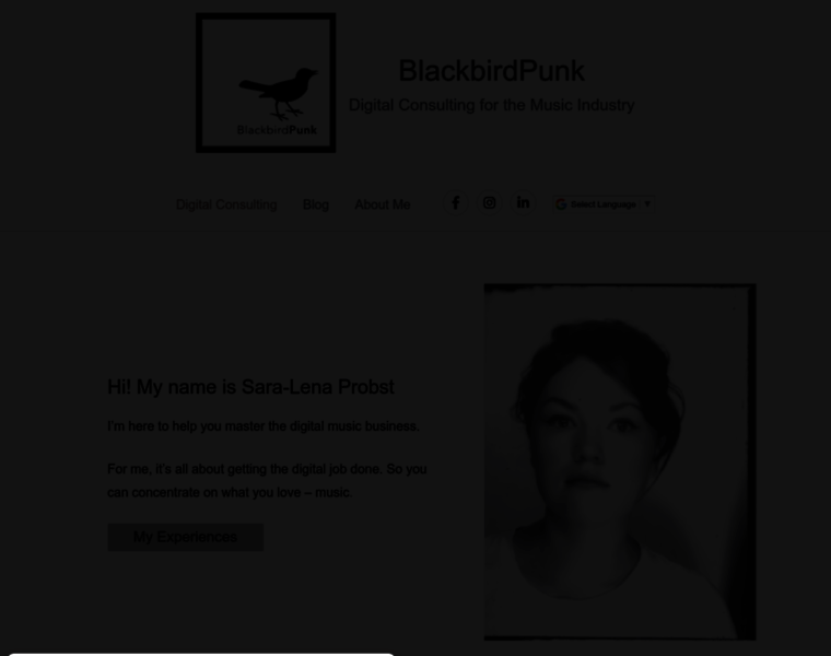 Blackbirdpunk.com thumbnail