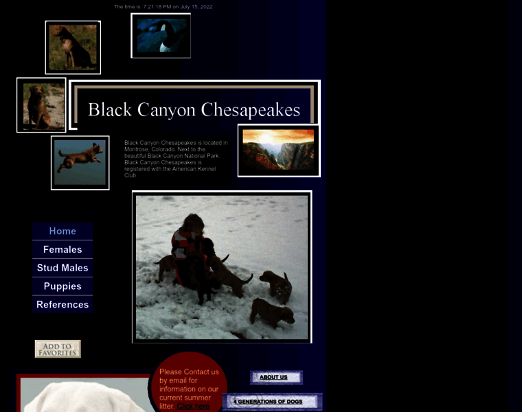 Blackcanyonchesapeakes.com thumbnail