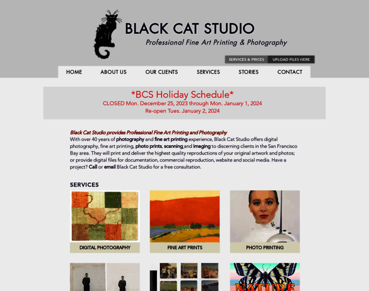 Blackcatstudio.com thumbnail