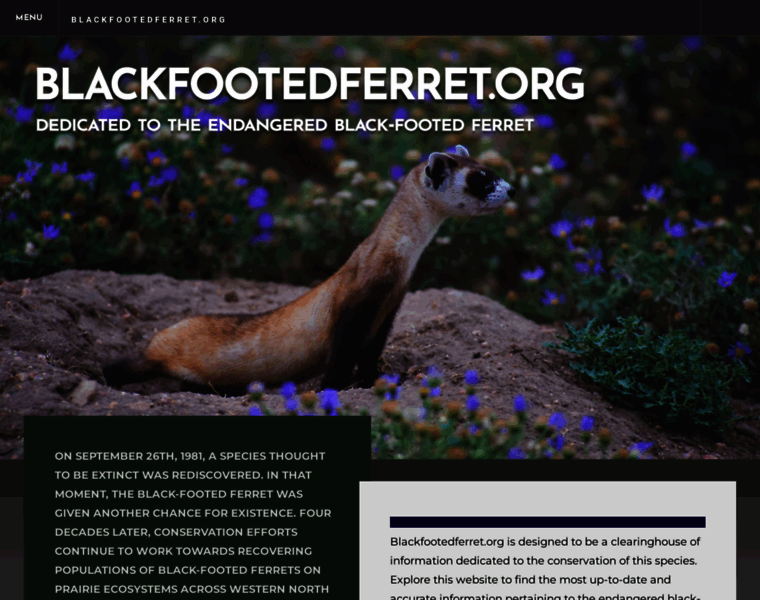 Blackfootedferret.org thumbnail