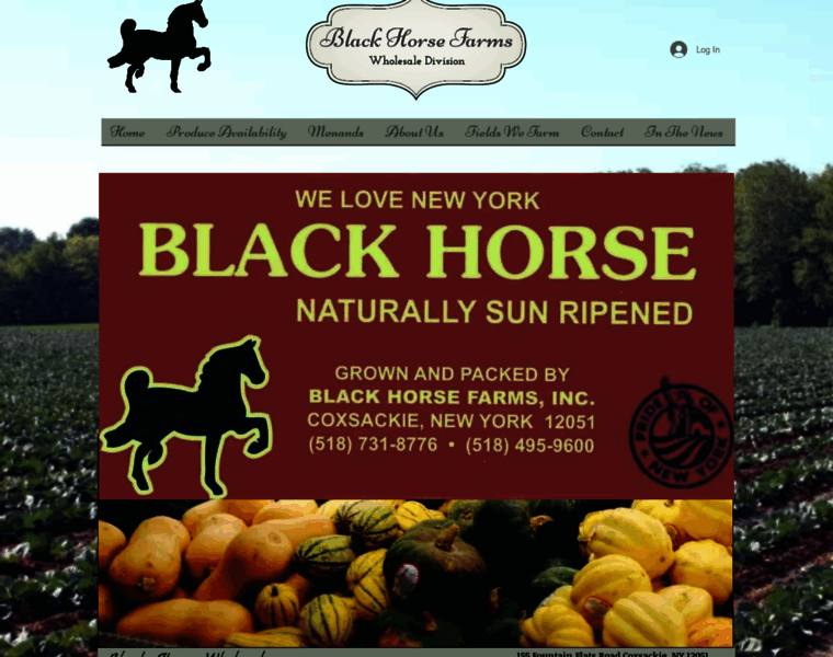 Blackhorsewholesale.com thumbnail